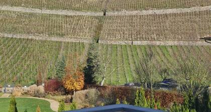 Historic villa with a view of Drachenfels