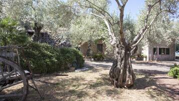 Overnattingsstedets uteområder