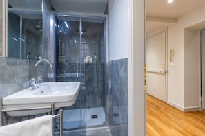 Shower, hair dryer, bidet, towels