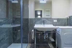 Shower, hair dryer, bidet, towels