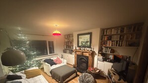 Ein gemütliches Wohnzimmer mit Kamin, Bücherregal, Fenster und Weihnachtsbaum.