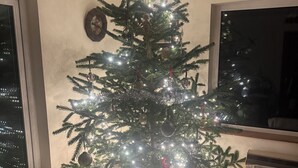 Ein mit Lichtern und Schmuck geschmückter Weihnachtsbaum in einem Zimmer mit Holzboden und Fenster.