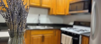Newly Renovated 4br Retreat Sleeps 8 I SPA & GAMES