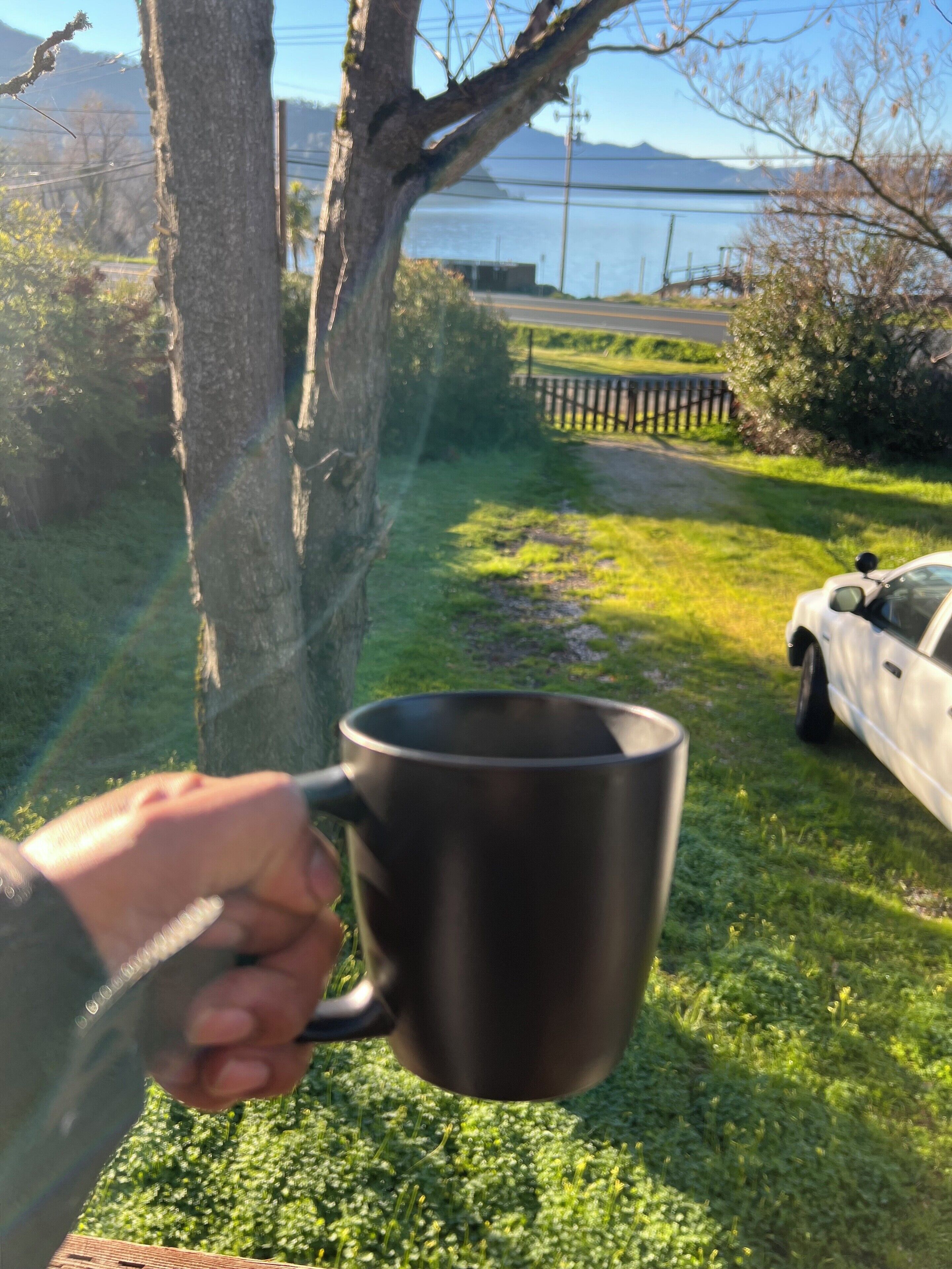 A hand holding a mug, a tree, a car, and a body of water in the background.