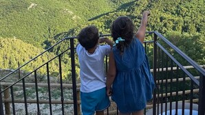 A view from a balcony overlooking a forested mountain area.
