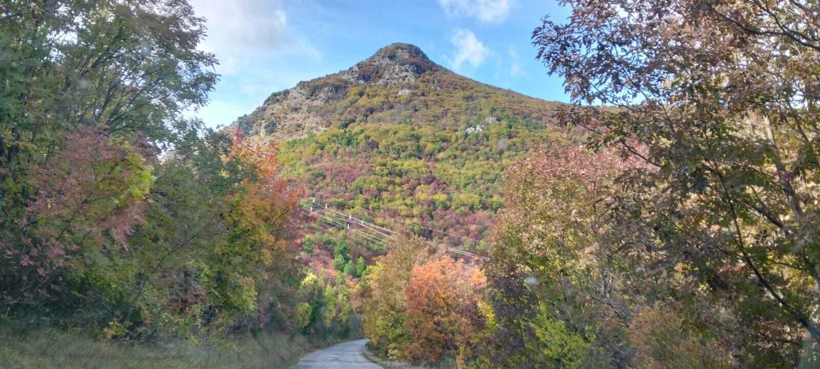 A mountain with a road leading up to it, surrounded by autumn-colored trees.