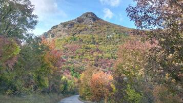 A mountain with a road leading up to it, surrounded by autumn-colored trees.