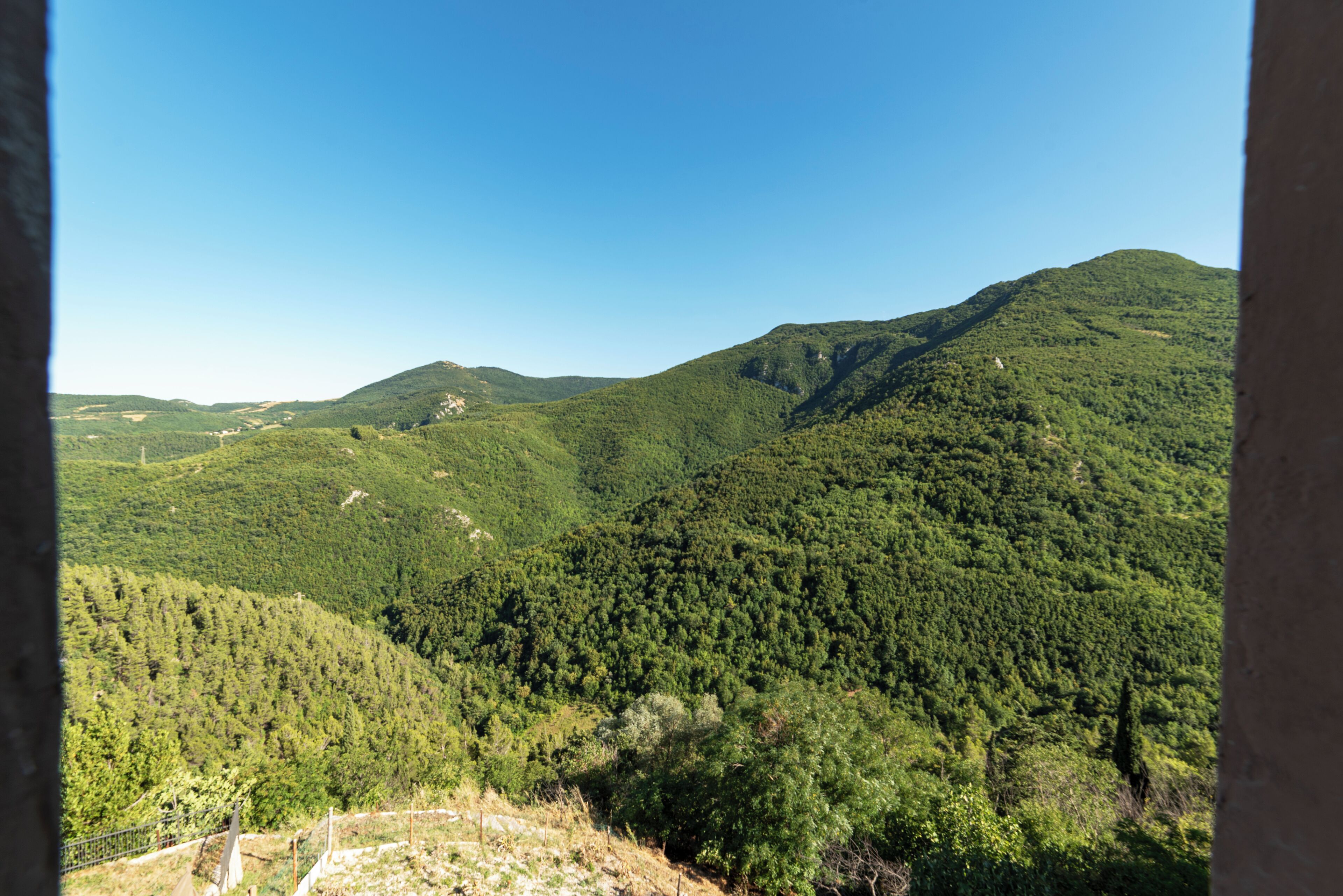 Paesaggio montuoso con fitte foreste e cielo sereno.