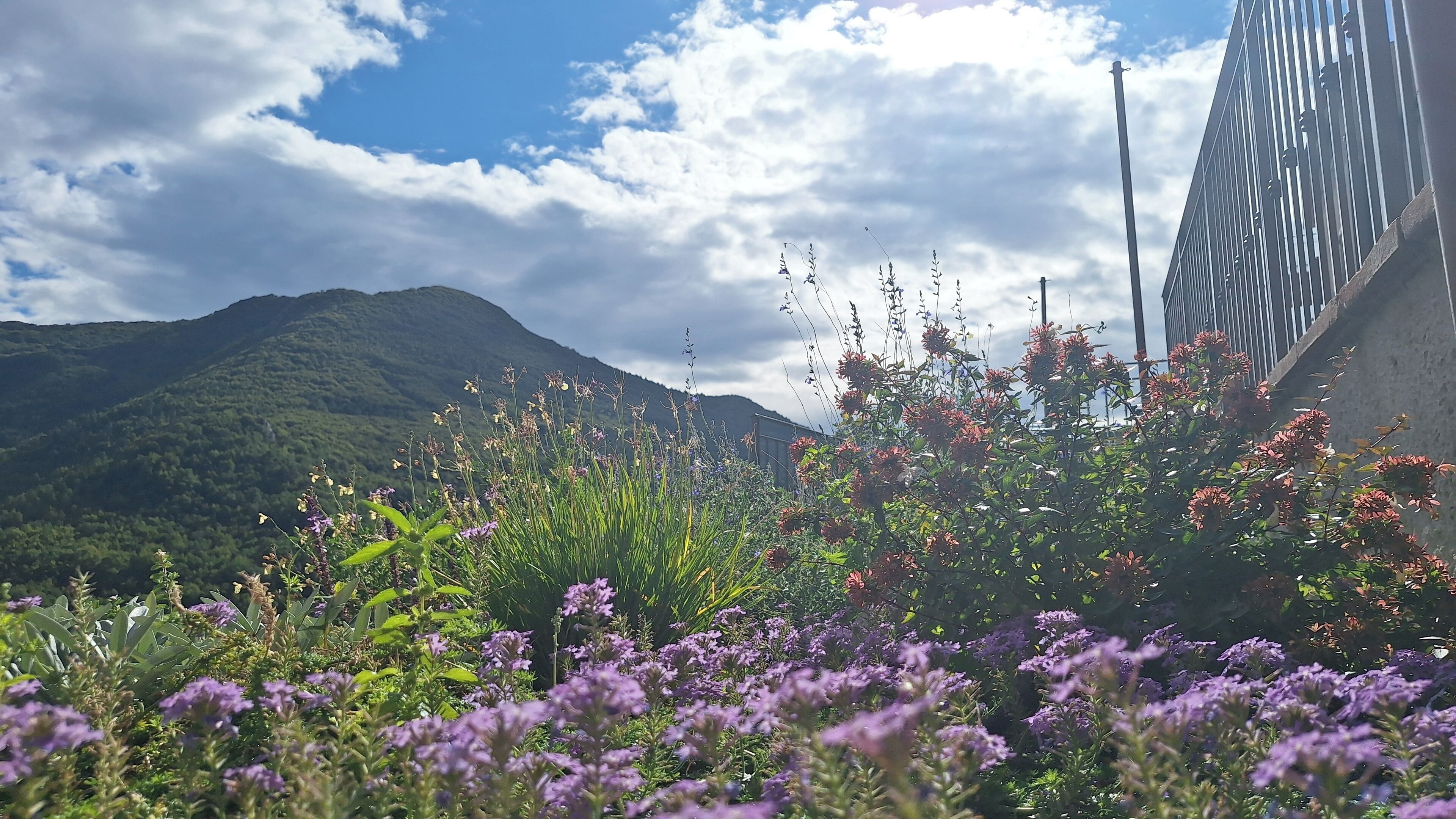 Overnatningsstedets område