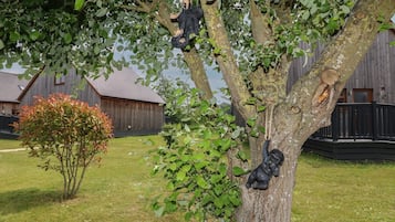 Overnattingsstedets uteområder