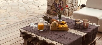 Superb stone villa in the heart of the Pays de Fayence