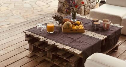 Superb stone villa in the heart of the Pays de Fayence