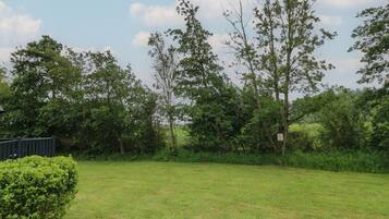 A grassy area with trees and a sign.