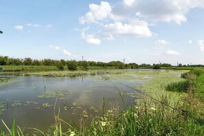 Un paysage naturel comprenant une étendue d’eau, de la végétation et un ciel dégagé.