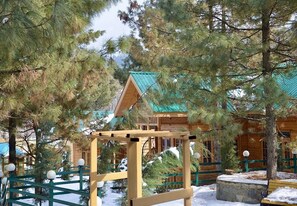 Uma cabana de madeira com telhado verde, rodeada por árvores cobertas de neve e uma cerca de madeira.