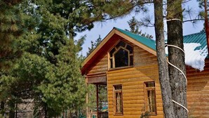 Una cabaña de madera con techo verde, rodeada de árboles y un suelo cubierto de nieve.