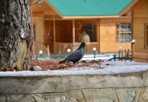 Exterior - Dawat-e-Drung by FrozenFall Resort (Drung)