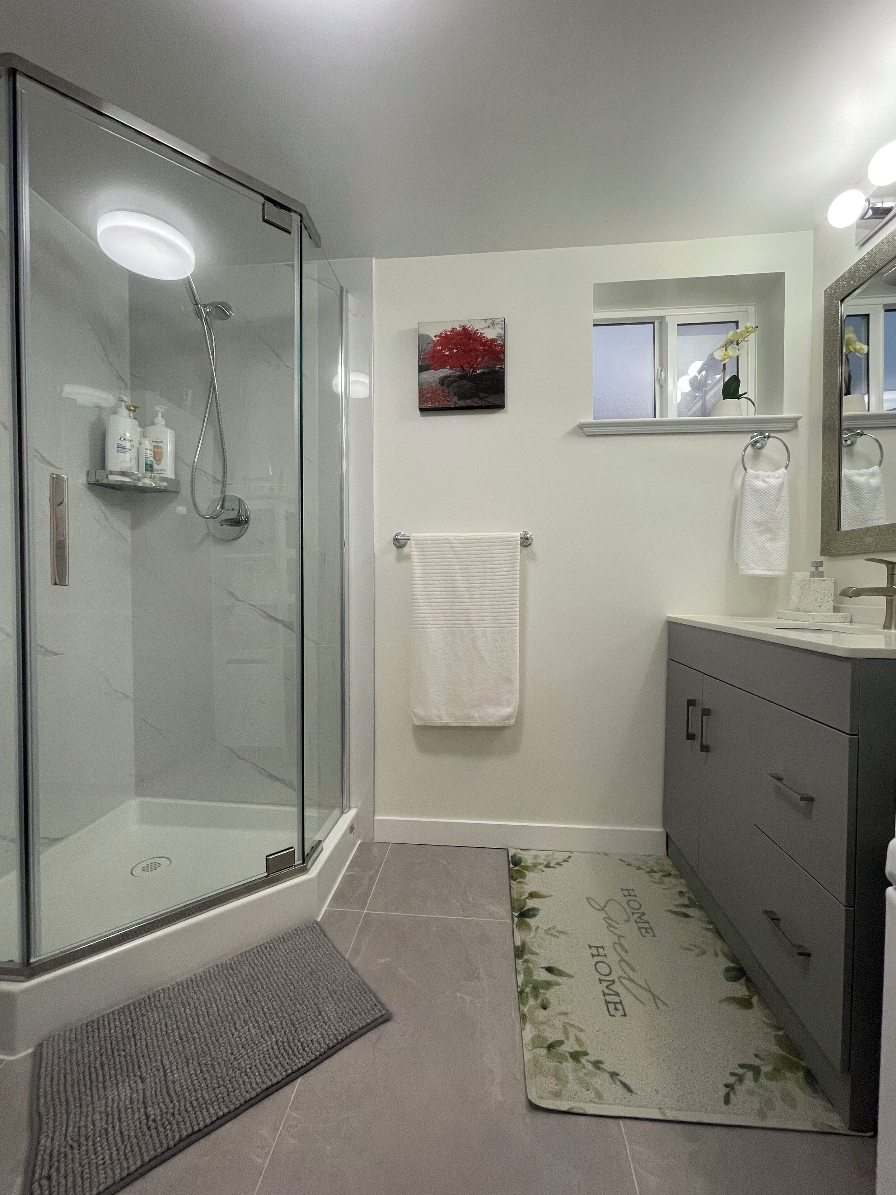 Dusche, Haartrockner, Handtücher, Seife