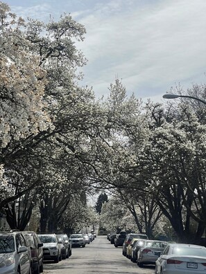 Estacionamiento en la propiedad 