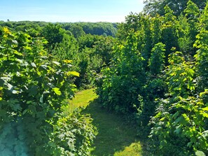 Terrain de lâhĂ©bergement
