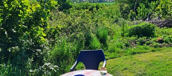 Cozy Nature Retreat – Own Kitchen & WC – 5 min from Fr.havn – Free parking& WiFi