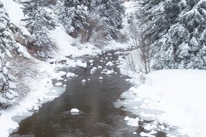 Miscellaneous - Fantastic 1-bedroom condo with AC in charming Vail (Vail)