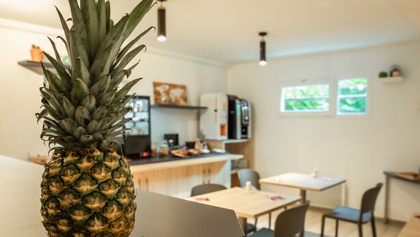 A pineapple on a table in a modern kitchen with a dining area.