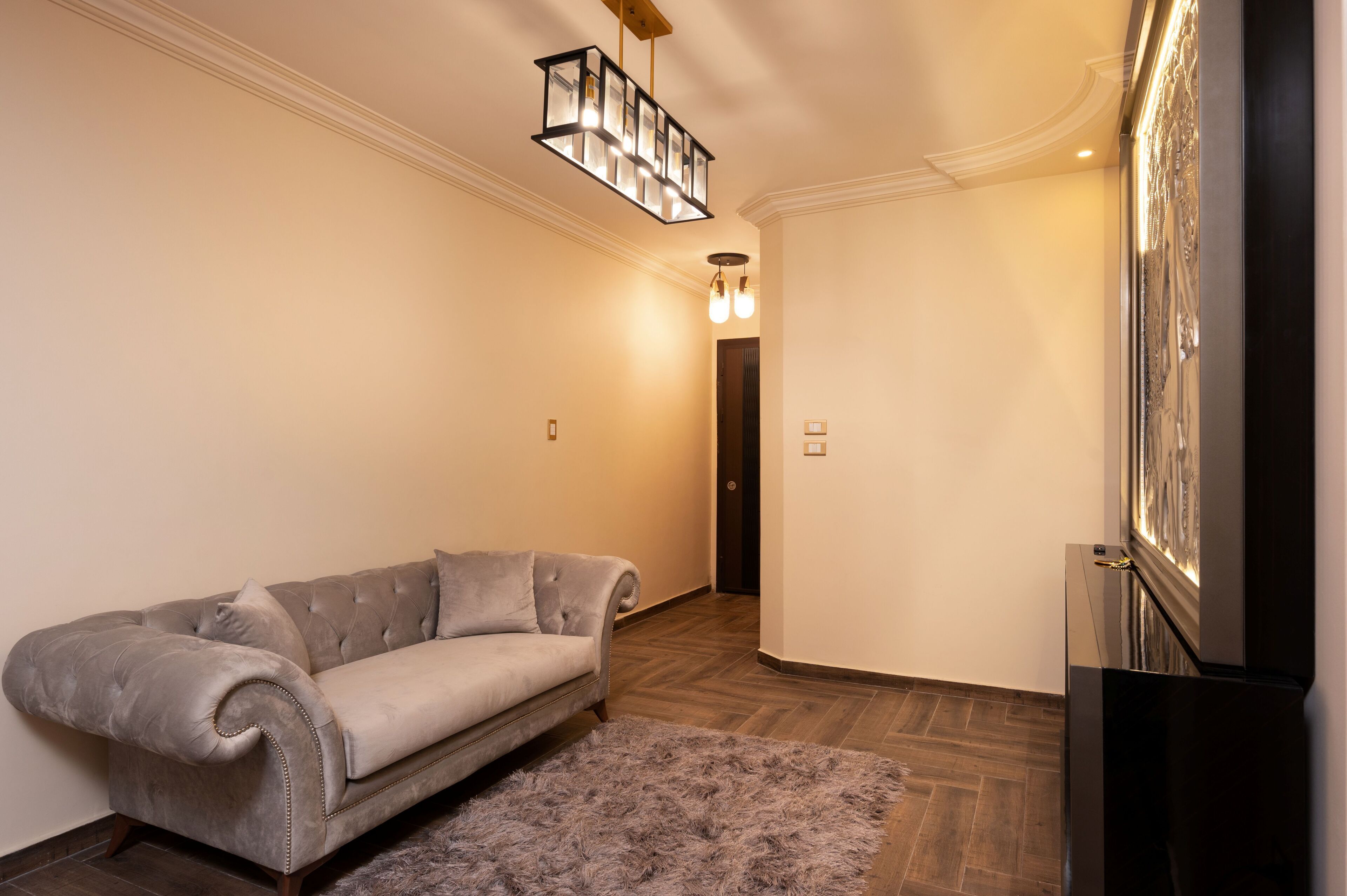 A hallway with a grey sofa, a fluffy rug, a modern light fixture, and a door with a mirror.