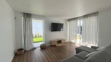 Télévision, cheminée