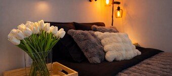 Wonderful 2-bedroom apartment with fireplace and office in Riga near city center
