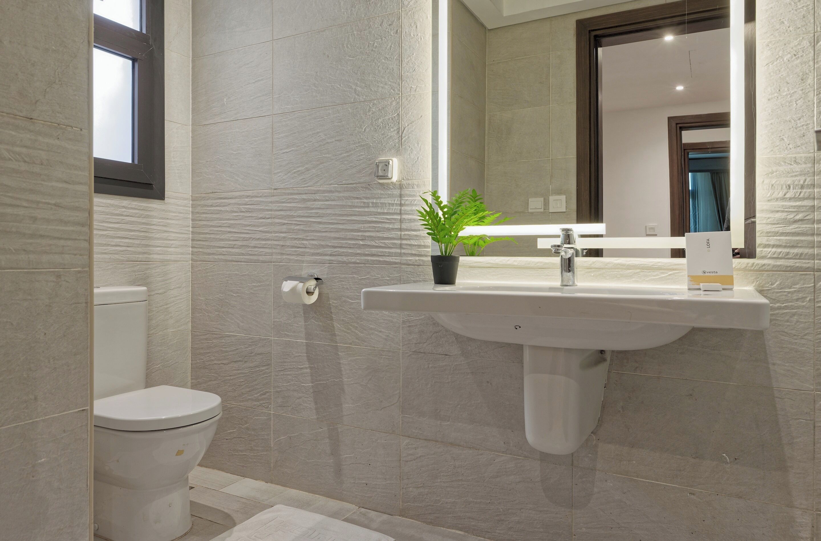 A bathroom with a toilet, sink, and a potted plant.