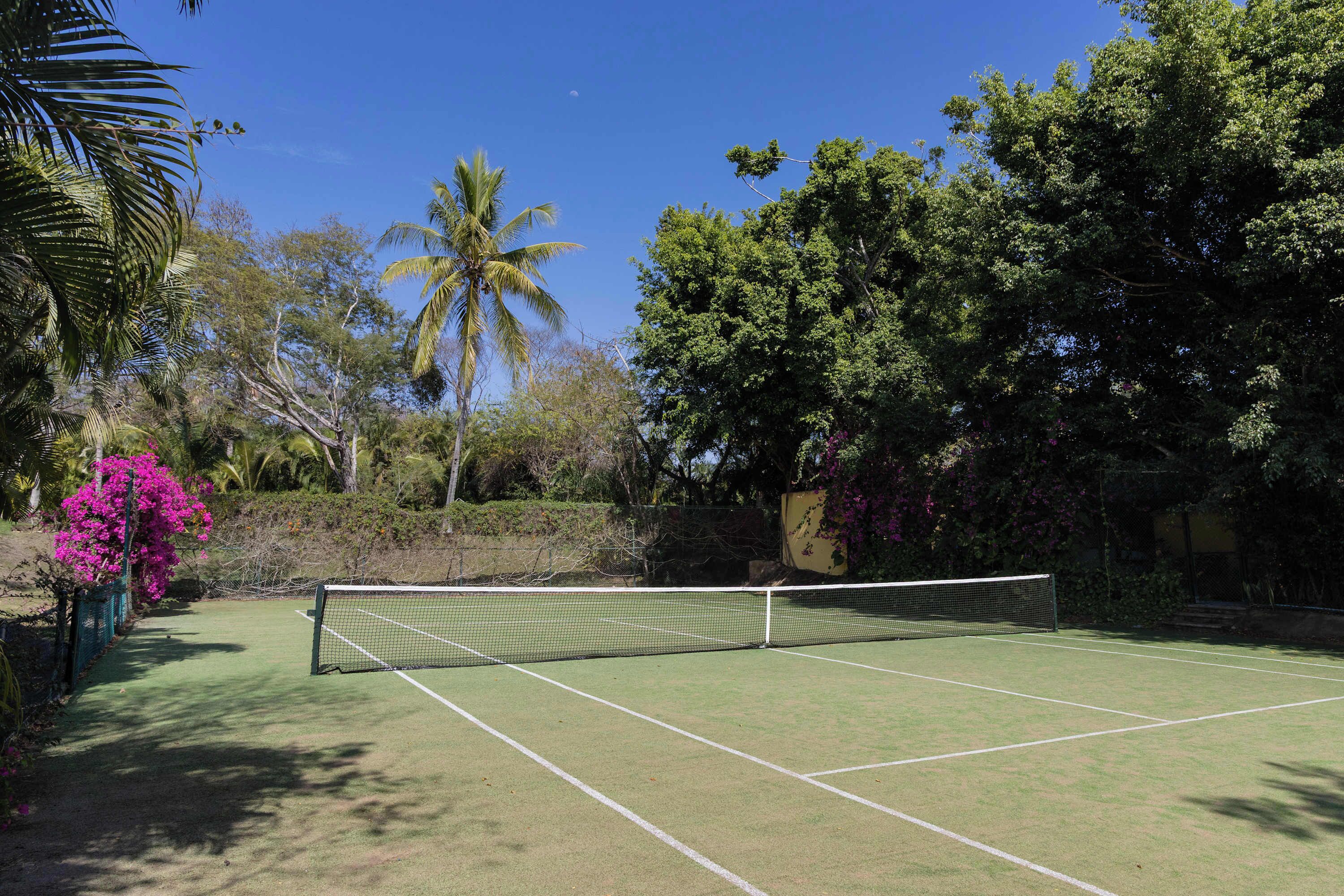 An outdoor tennis court surrounded by lush greenery and trees.