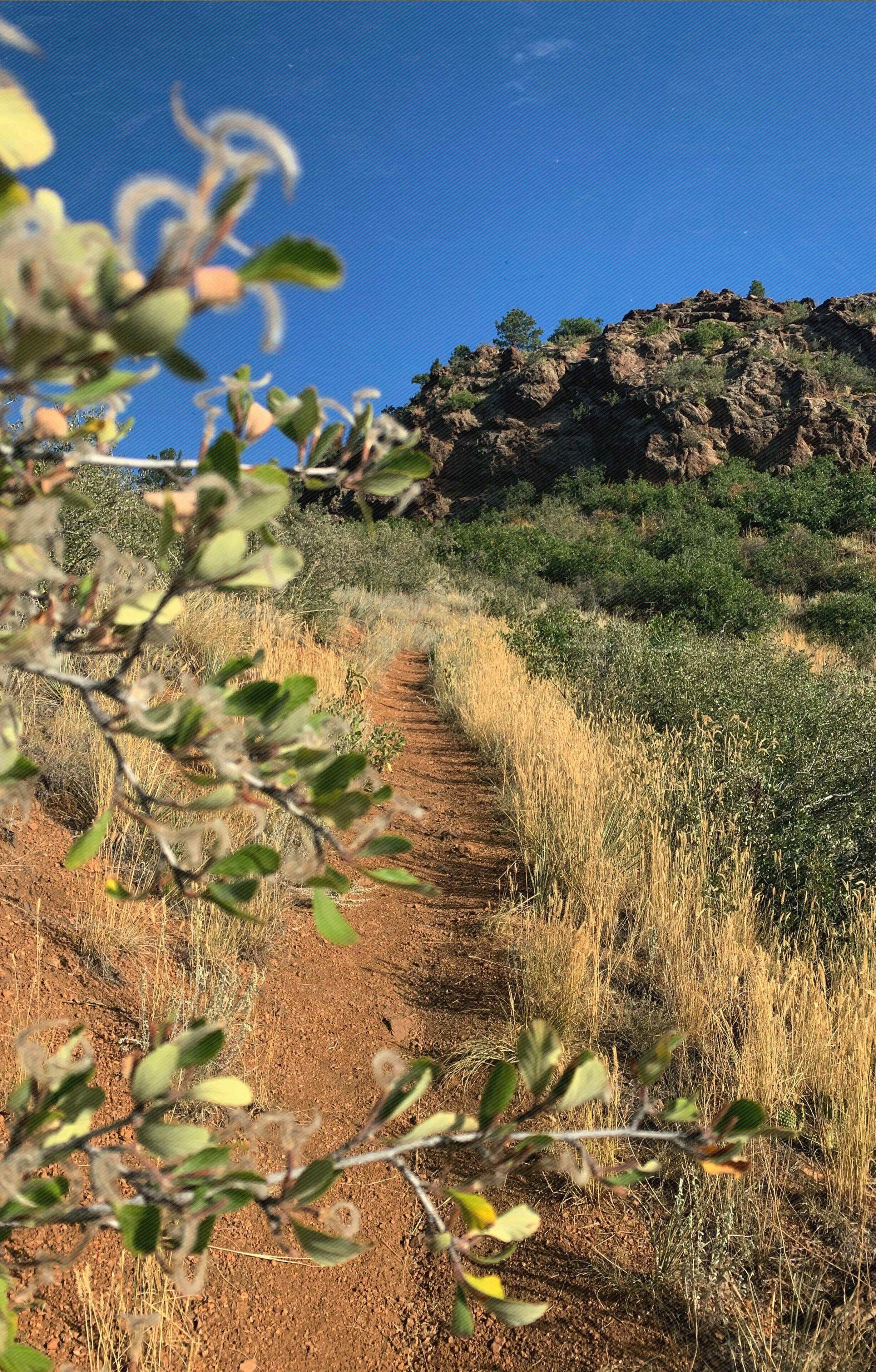 Un sendero de tierra que asciende por una colina, con vegetación escasa y una formación rocosa al fondo.