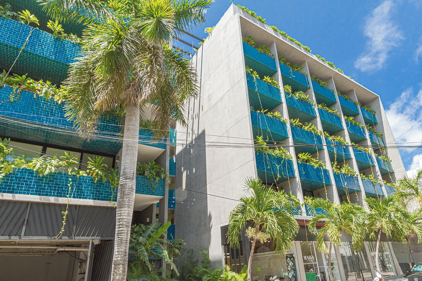 Un immeuble à plusieurs étages doté de balcons, entouré de palmiers.