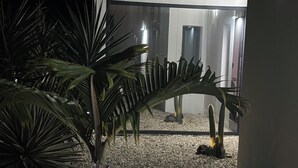 A modern building with a reflective glass facade, a gravel courtyard, and a palm plant in the foreground. - Villa SANDI luxury and comfort - a contemporary oasis. Ideal for vacations (Saint-François)