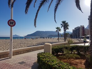 Playa en los alrededores y toallas de playa 