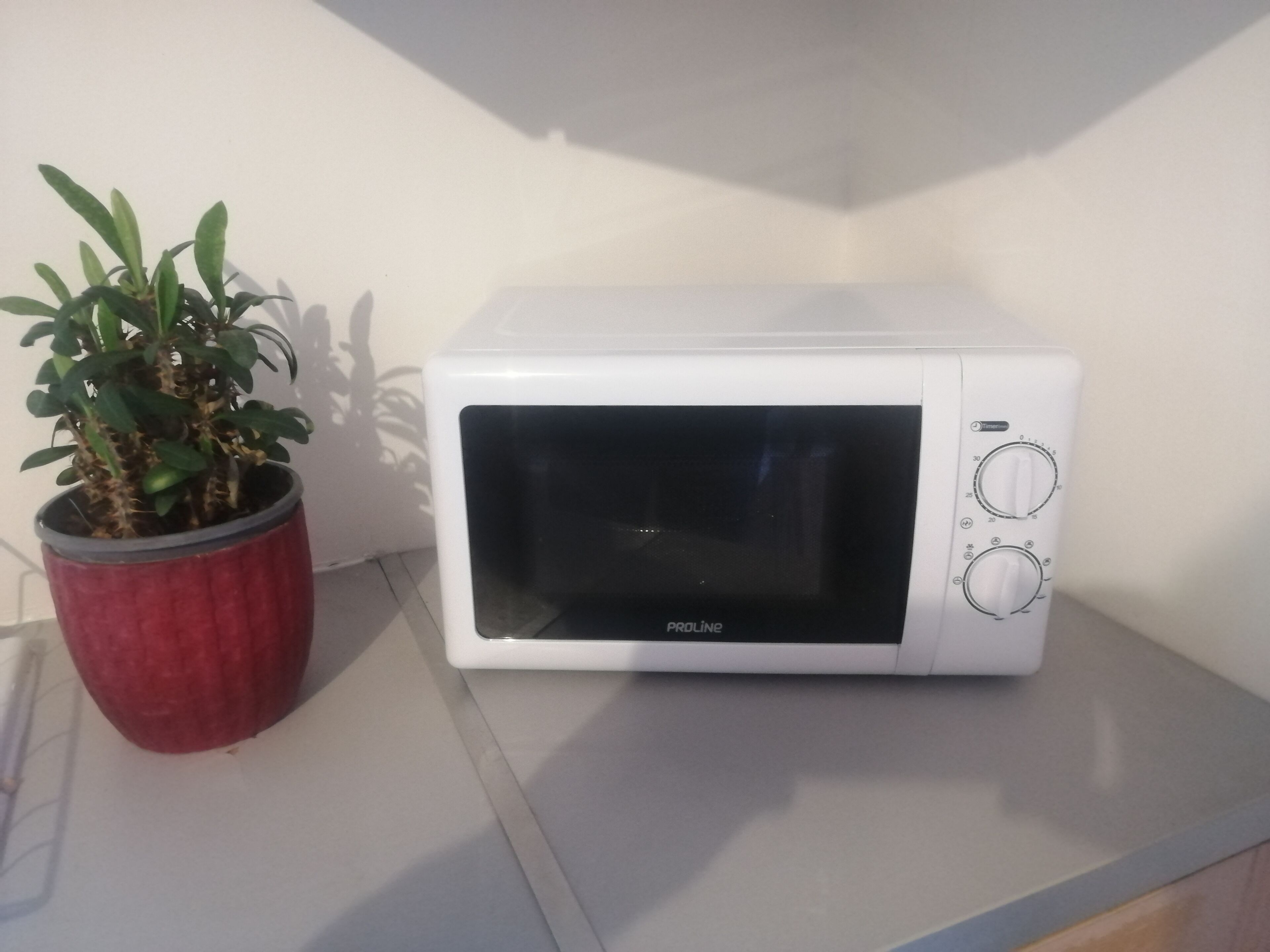 A white microwave oven with a red pot of green plant beside it.