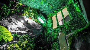 A lush indoor garden with a variety of plants and a rock formation. - Junglecavern - Private spa, unusual accommodation (Albertville)