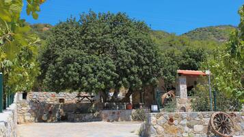 Terrein van de accommodatie