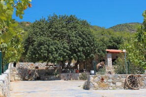 Property grounds - Detached Single - Storey Stone House in Datça Karaincir - Karaincir Houses 2 (Muğla)