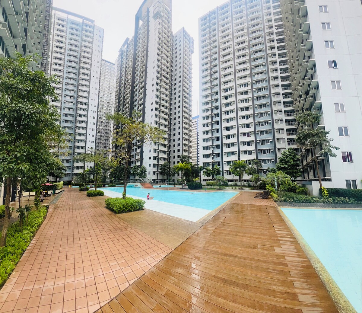 Imagen de perfil del propietario o de la propietaria