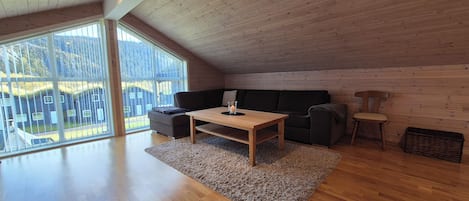 TV, fireplace, books, computer monitors