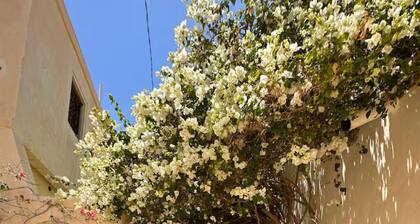 Houch d'exception - Djerba Hood