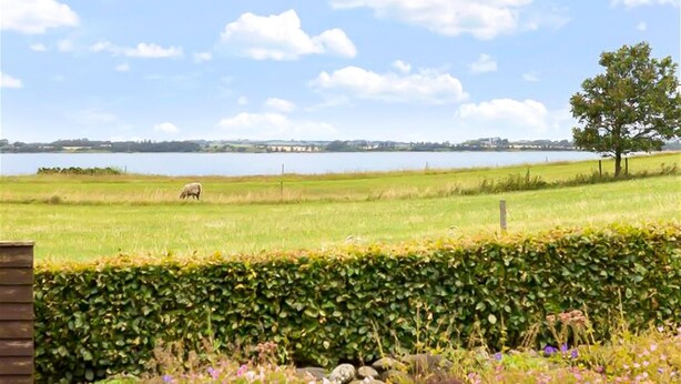 A grassy field with a body of water and a tree in the distance. - Cozy home in Nykøbing M with WiFi (Nykøbing M)
