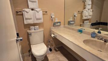 Haartrockner, Handtücher, Seife, Shampoo