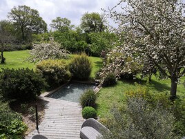 Un jardín con un estanque, un camino de madera y diversas plantas florecientes.
