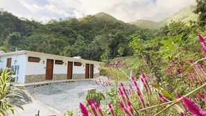 Property grounds - Eco Retreat at Finca Ki’ - Mar Room (Naguabo)