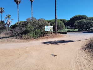 A dirt road with a directional sign and palm trees. - Solidarity and sustainable cabins next to the sea in Cádiz (Chiclana de la Frontera)