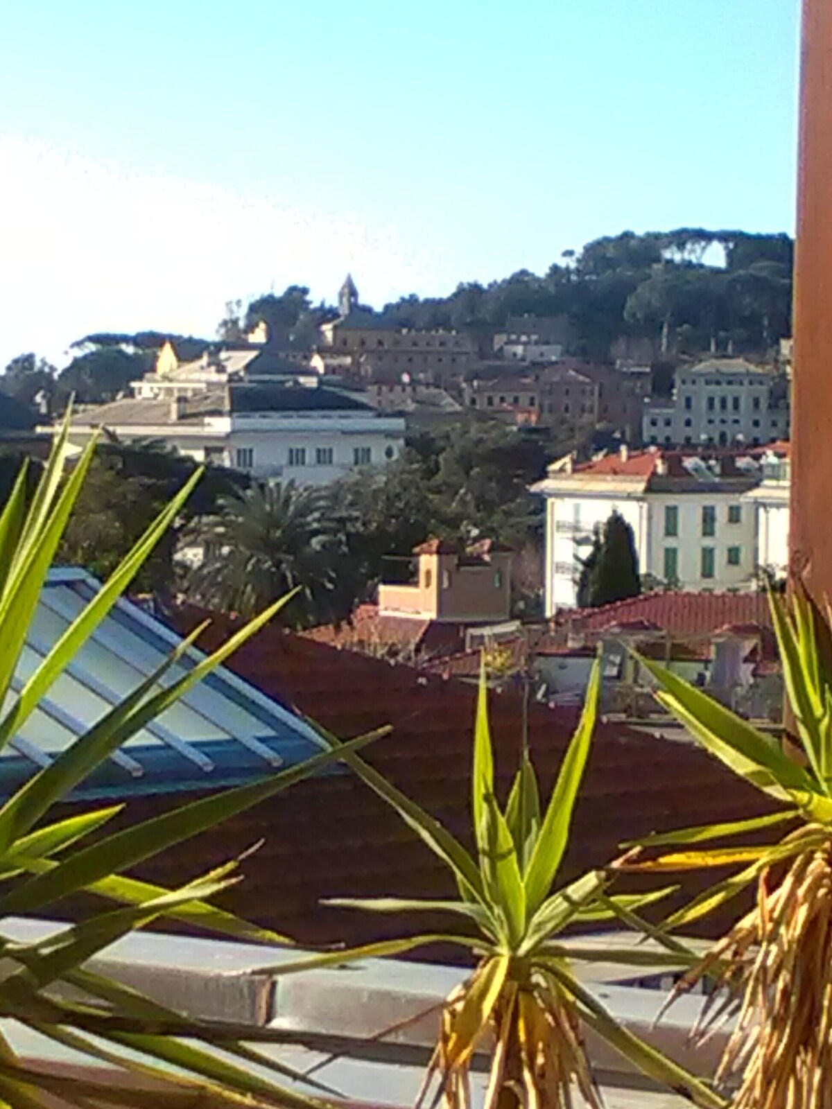 Imagen de perfil del propietario o de la propietaria