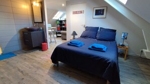 A bedroom with a skylight, a bed with blue bedding, a bedside table with a lamp, and a bookshelf in the background. - Les nichoirs - 60m² room in Vouvray - bathroom and separate toilet (Vouvray)